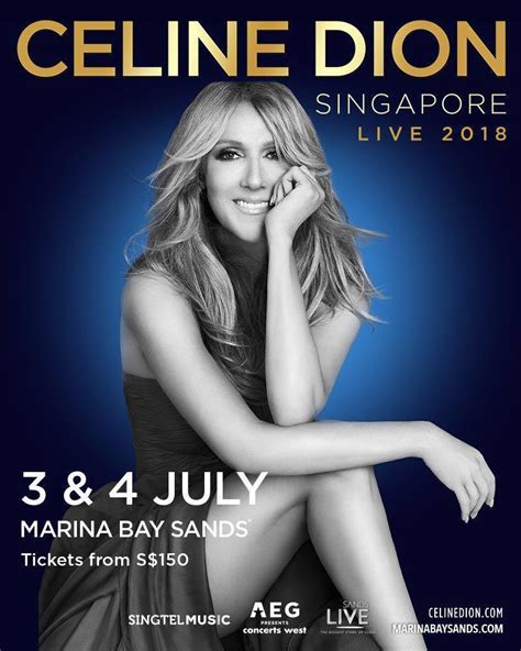 cheap celine tickets|celine dion tour 2024.